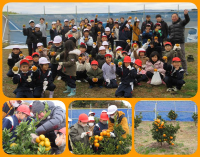 1203 磯山みかん園①