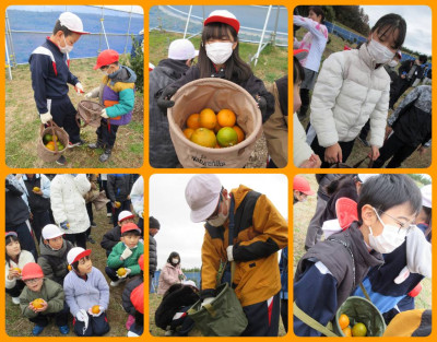 1203 磯山みかん園③