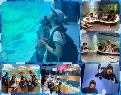 0627 修学旅行(5,6年生)_うみの杜水族館_2