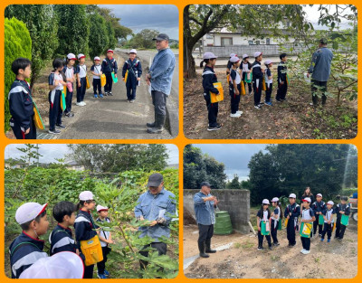 1009 いちじく農家①