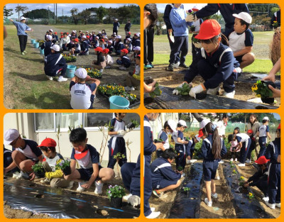 1028 花植え活動①