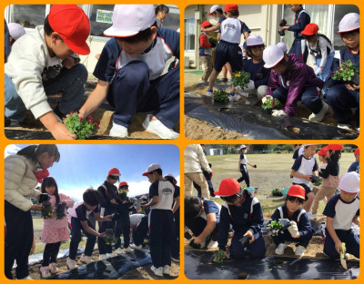 1028 花植え活動②