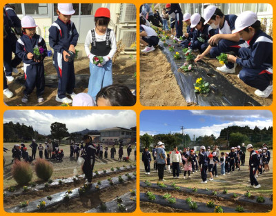 1028 花植え活動③