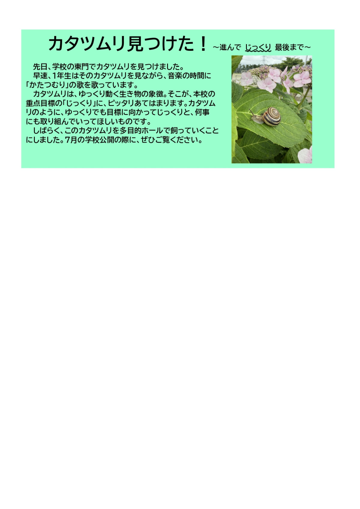 R7 学校だより #005_page-0002