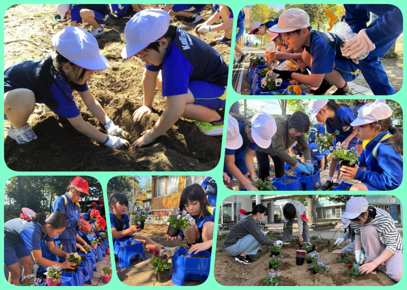 20251024_植花活動（5年抜き）