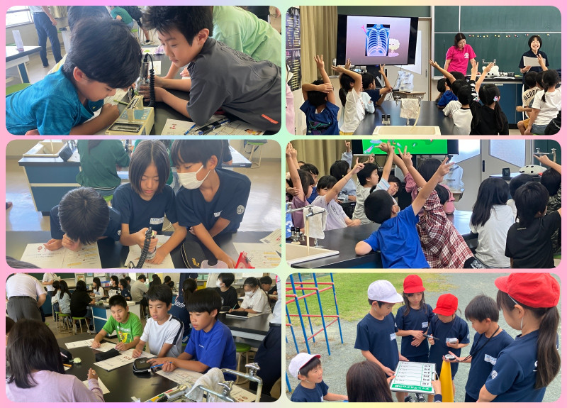 トップページ | 新地小学校