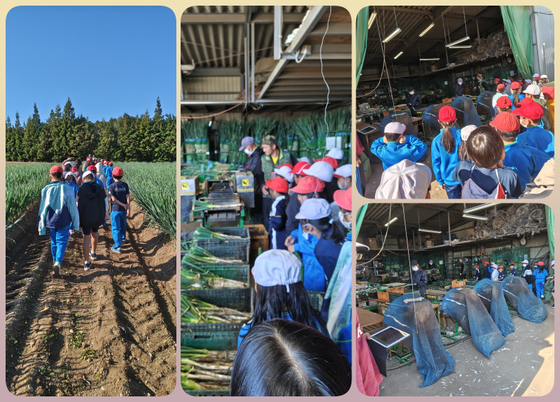 20251117_農家見学（３年生）